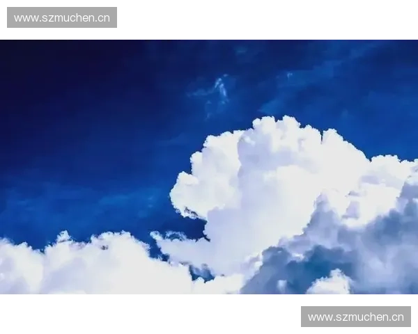 节奏压迫下的心理体验与行为反应研究探索