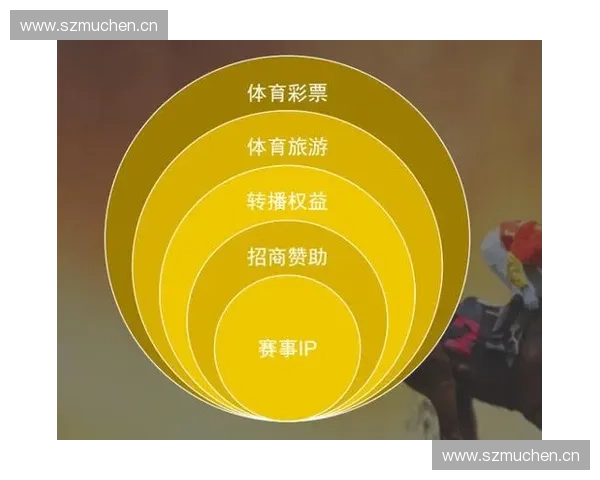 体育技术官在赛事规则执行风险防控与数字化管理协同机制中的实践探索 体育技术官在赛事规则执行风险防控与数字化管理协同机制中的实践探索